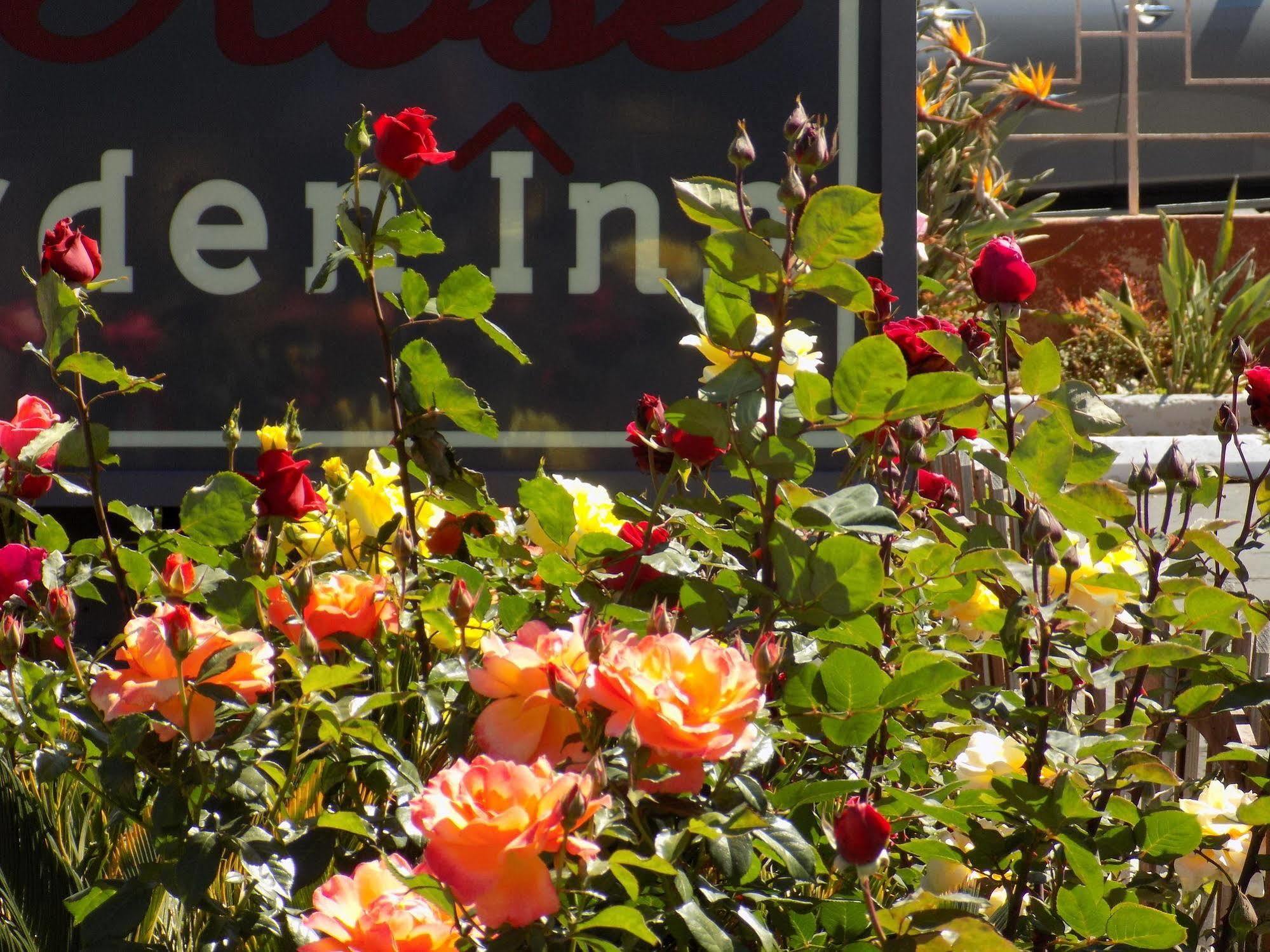 Rose Garden Inn Santa Barbara Exteriér fotografie