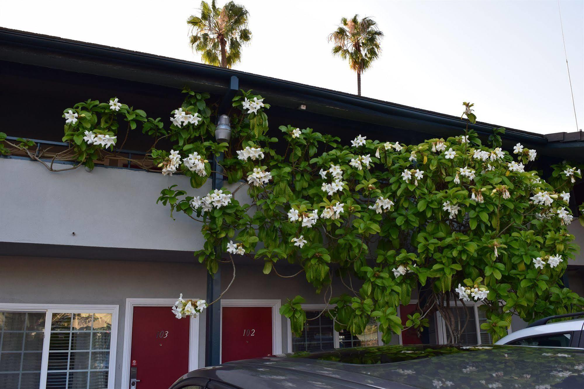 Rose Garden Inn Santa Barbara Exteriér fotografie